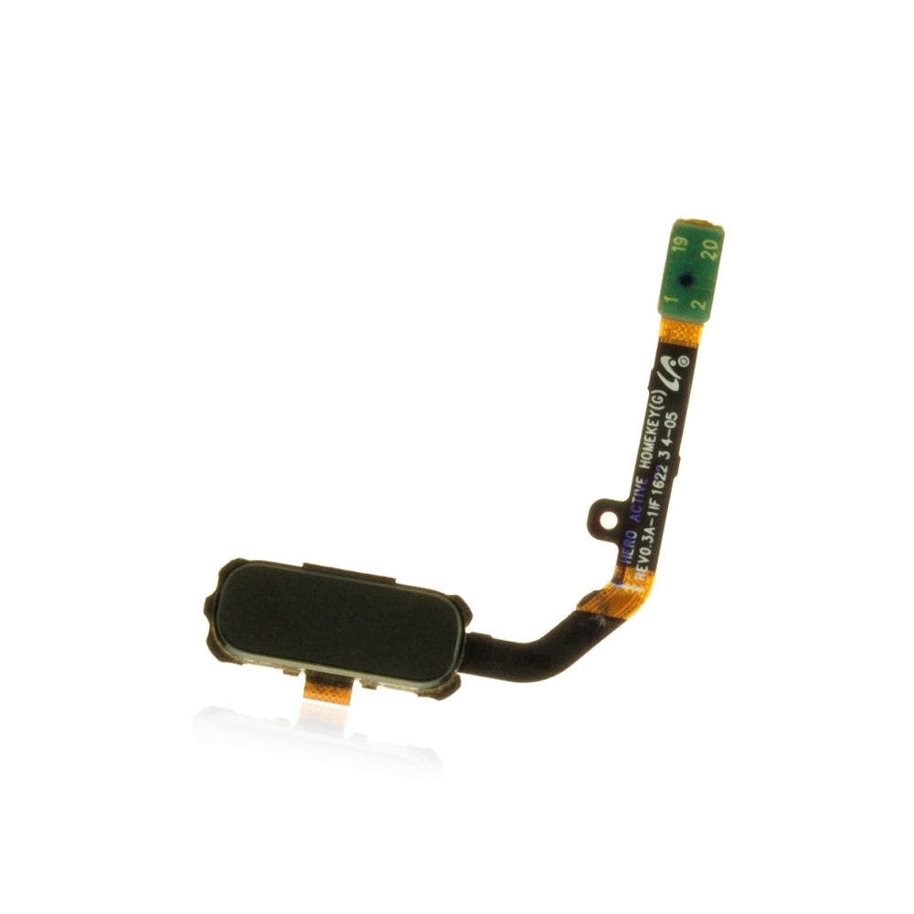 Samsung Galaxy S7 Active Home Button and Cable Assembly